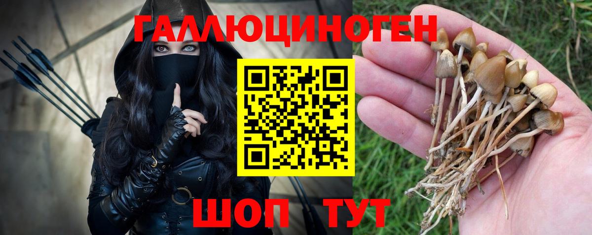 Галлюциногенные грибы Psilocybe  Вход с VPN  Белово  Псилоцибиновые грибы мухоморы 