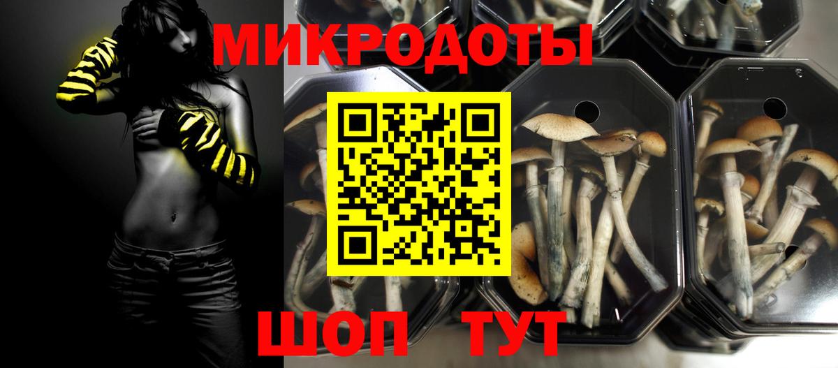 Галлюциногенные грибы мухоморы Белово